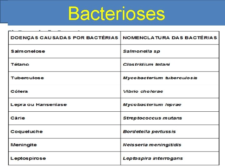 Bactérias. Bacterioses e Doenças Associadas 5) Reprodução Bacteriana Reprodução Sexuada c) Conjugação Ocorre quando