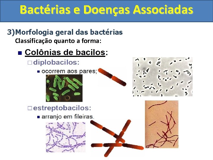 Bactérias e Doenças Associadas 3)Morfologia geral das bactérias Classificação quanto a forma: Vibrião Espiroqueta