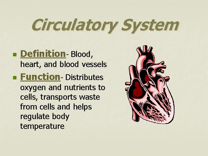 Circulatory System n Definition- Blood, heart, and blood vessels n Function- Distributes oxygen and