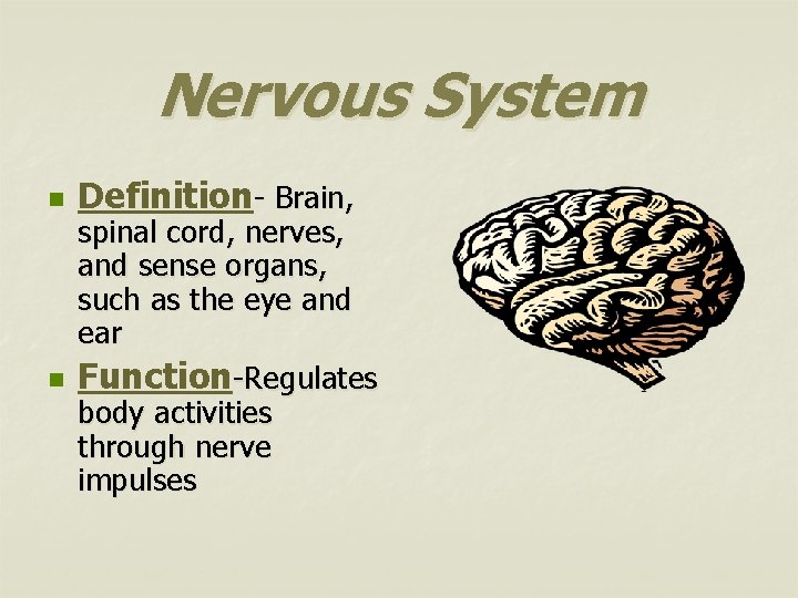 Nervous System n n Definition- Brain, spinal cord, nerves, and sense organs, such as