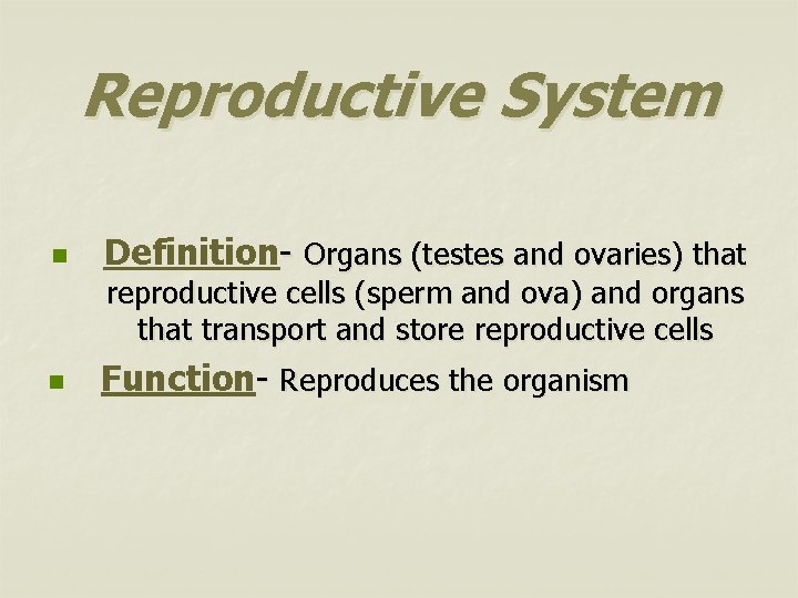 Reproductive System n Definition- Organs (testes and ovaries) that reproductive cells (sperm and ova)