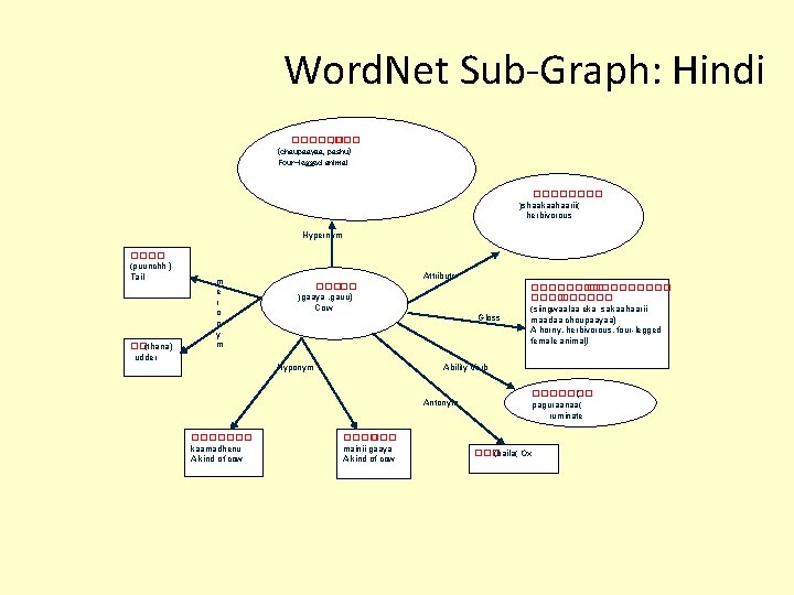 Word. Net Sub-Graph: Hindi ������ , ��� (chaupaayaa, pashu) Four-legged animal ���� )shaakaahaarii( herbivorous