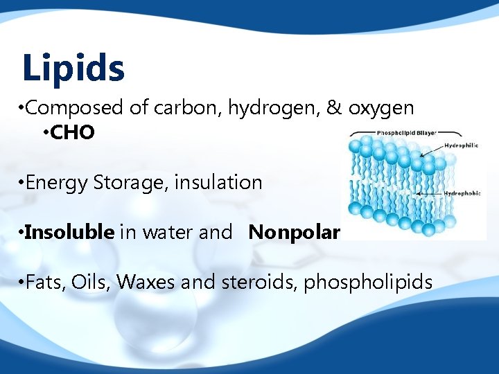 Lipids • Composed of carbon, hydrogen, & oxygen • CHO • Energy Storage, insulation