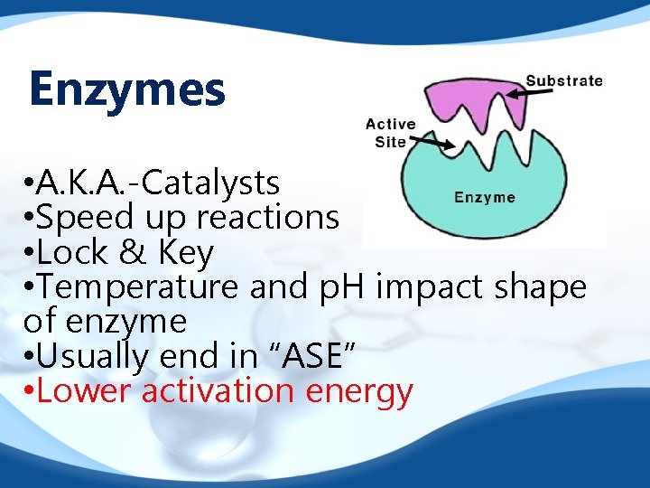 Enzymes • A. K. A. -Catalysts • Speed up reactions • Lock & Key