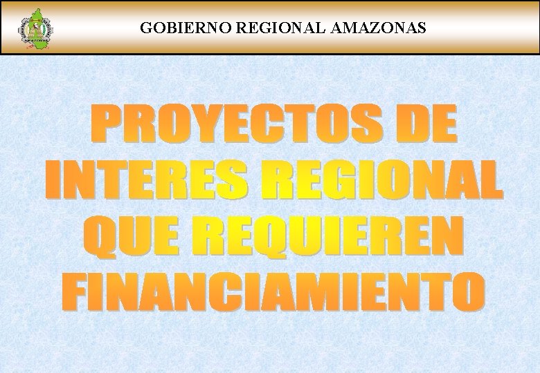 GOBIERNO REGIONAL AMAZONAS 