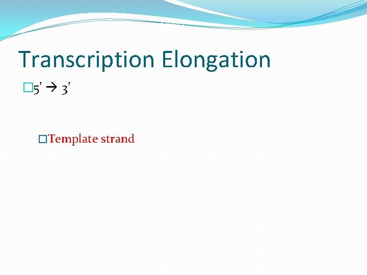 Transcription Elongation � 5’ 3’ �Template strand 