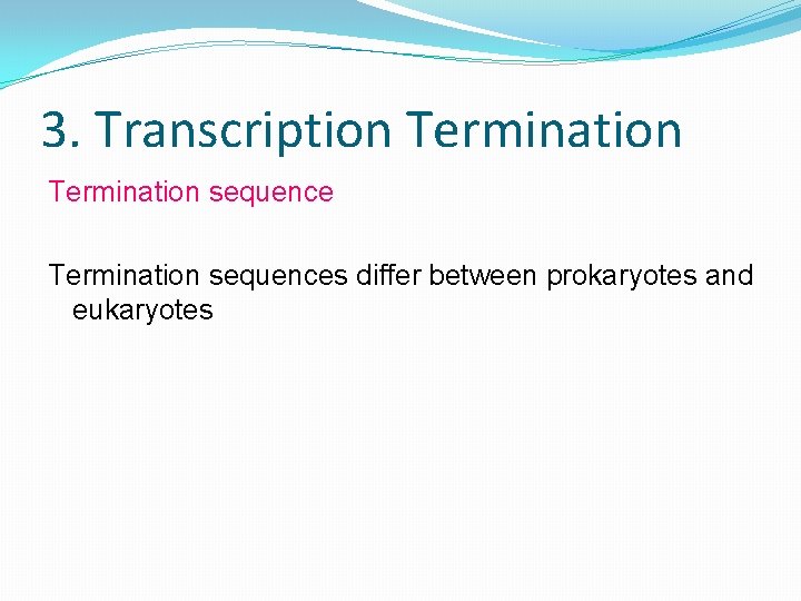3. Transcription Termination sequences differ between prokaryotes and eukaryotes 