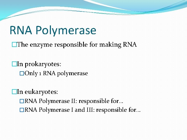 RNA Polymerase �The enzyme responsible for making RNA �In prokaryotes: �Only 1 RNA polymerase