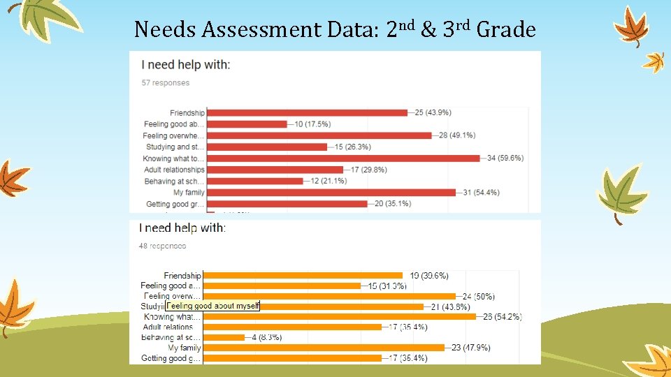 Needs Assessment Data: 2 nd & 3 rd Grade 