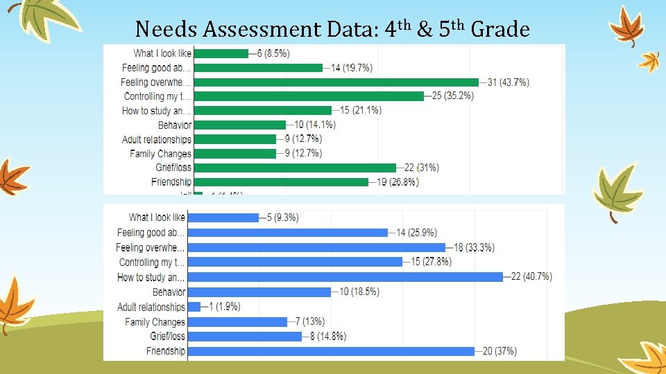 Needs Assessment Data: 4 th & 5 th Grade 