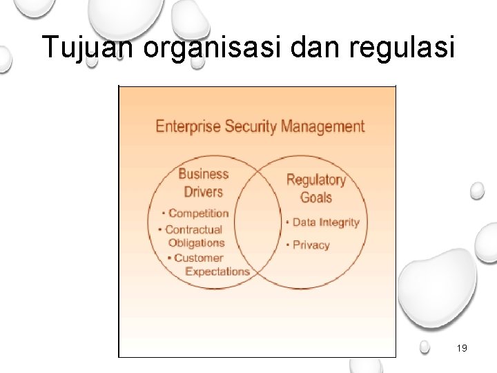 Tujuan organisasi dan regulasi 19 