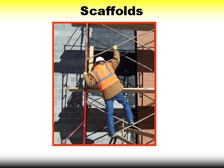 Scaffolds 