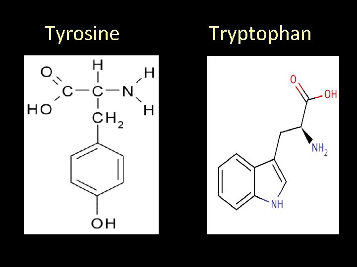 Lab 1 General protein color tests Definitions Amino