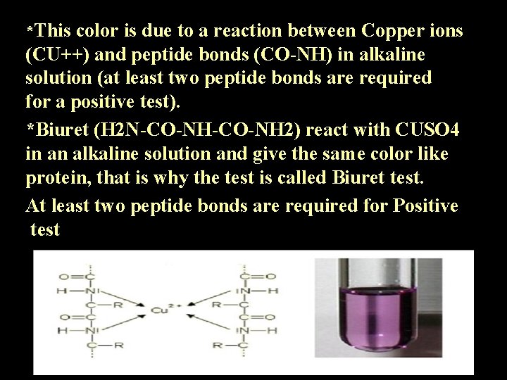 *This color is due to a reaction between Copper ions (CU++) and peptide bonds