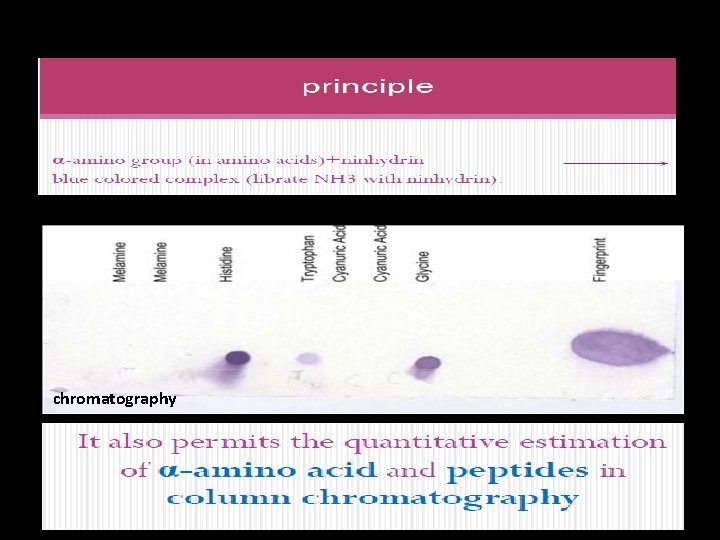 chromatography 