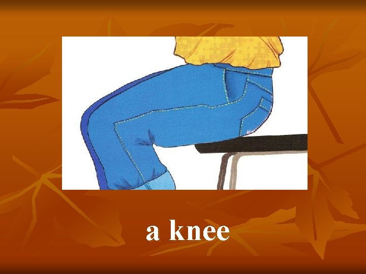 a knee 