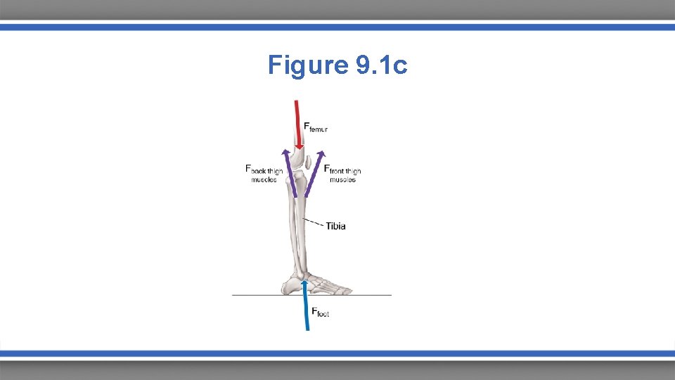 Figure 9. 1 c 