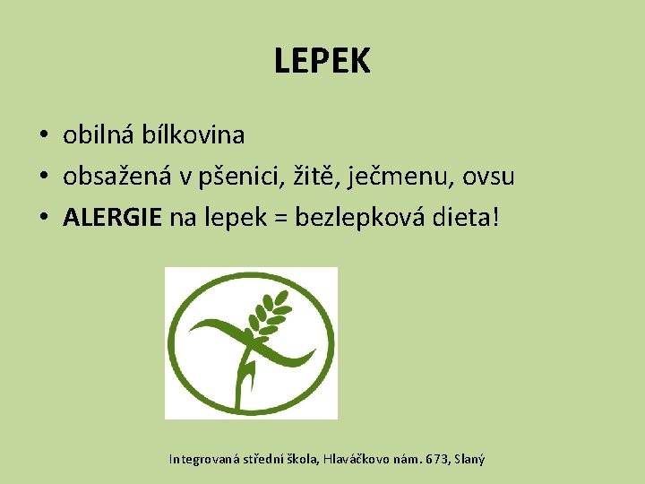 LEPEK • obilná bílkovina • obsažená v pšenici, žitě, ječmenu, ovsu • ALERGIE na