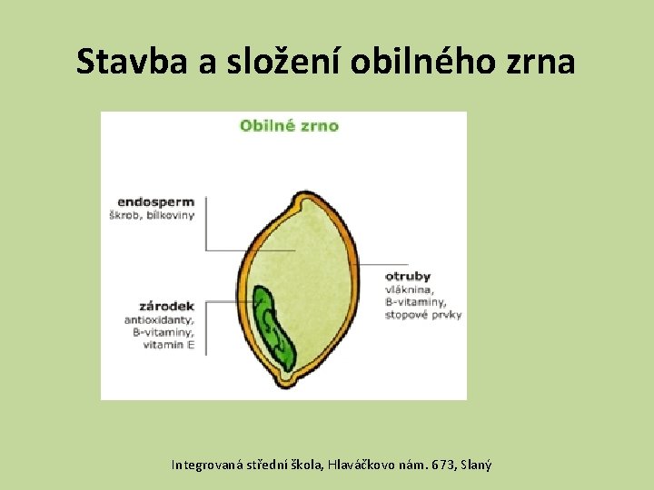 Stavba a složení obilného zrna Integrovaná střední škola, Hlaváčkovo nám. 673, Slaný 