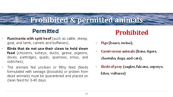 Prohibited & permitted animals Permitted § § § Prohibited Ruminants with split hoof (such