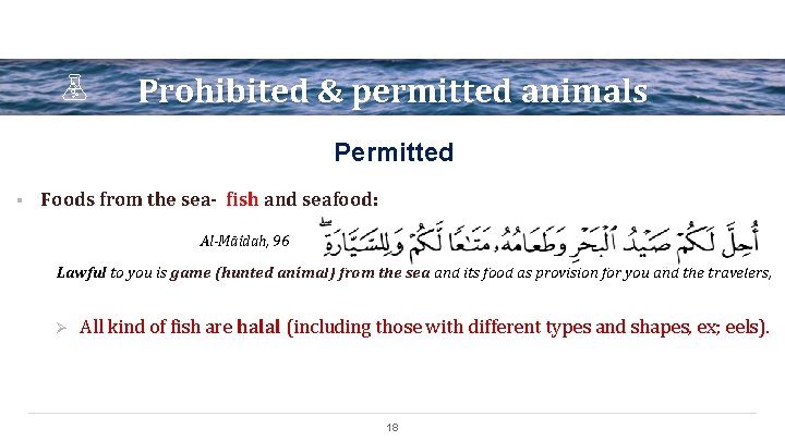 Prohibited & permitted animals Permitted § Foods from the sea- fish and seafood: Al-Māidah,