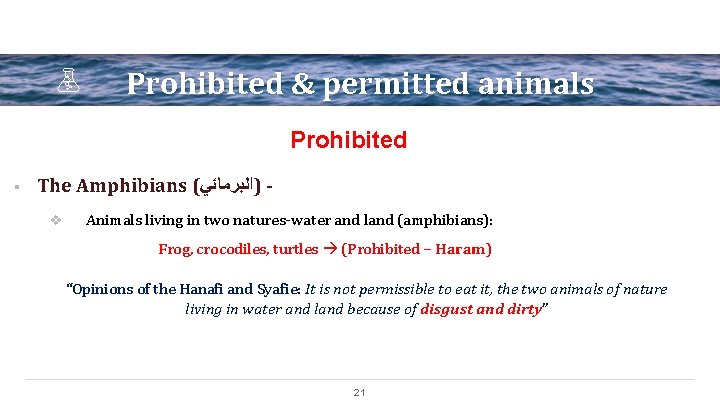 Prohibited & permitted animals Prohibited § The Amphibians ( )ﺍﻟﺒﺮﻣﺎﺋﻲ v Animals living in