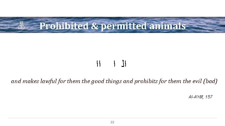 Prohibited & permitted animals ﺍﺍ ﺍﻟ ﺍ and makes lawful for them the good