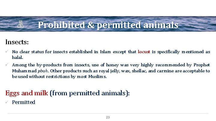 Prohibited & permitted animals Insects: ü No clear status for insects established in Islam