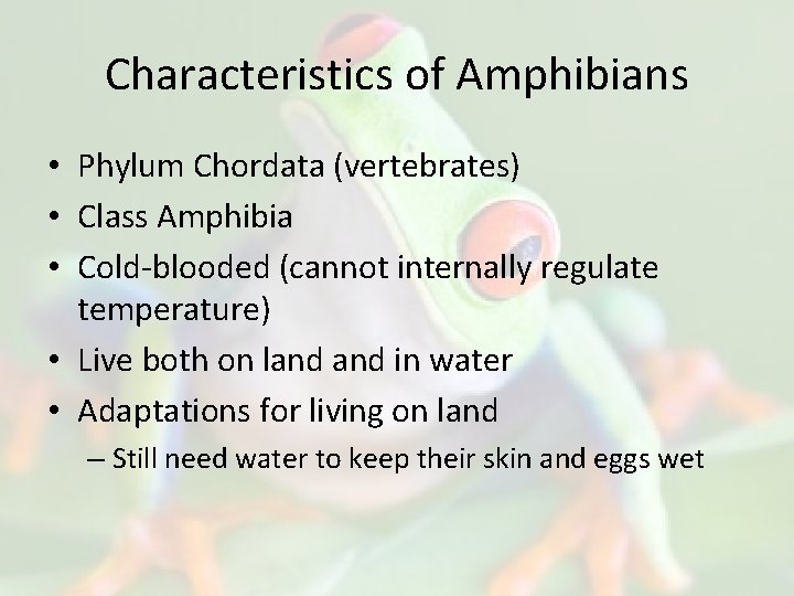 Characteristics of Amphibians • Phylum Chordata (vertebrates) • Class Amphibia • Cold-blooded (cannot internally