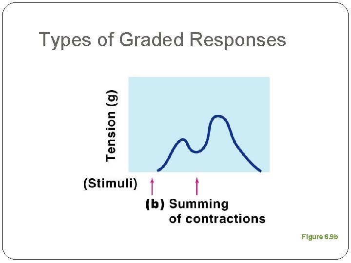 Types of Graded Responses Figure 6. 9 b 