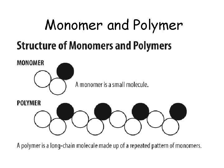 Monomer and Polymer 