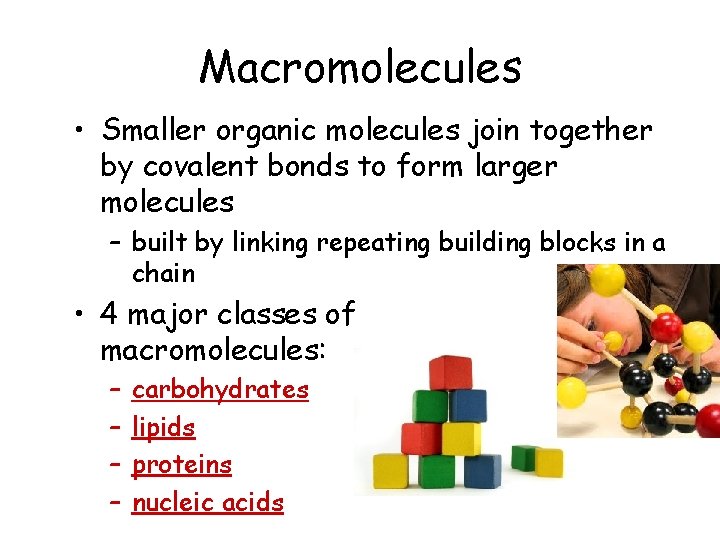 Macromolecules • Smaller organic molecules join together by covalent bonds to form larger molecules