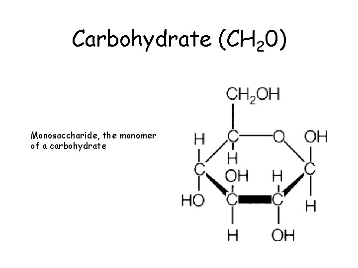 Carbohydrate (CH 20) Monosaccharide, the monomer of a carbohydrate 