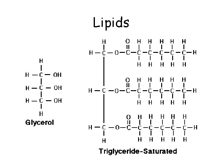 Lipids 