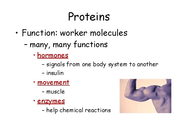 Proteins • Function: worker molecules – many, many functions • hormones – signals from