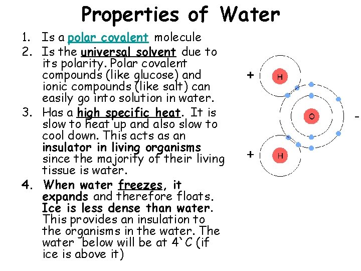 Properties of Water 1. Is a polar covalent molecule 2. Is the universal solvent