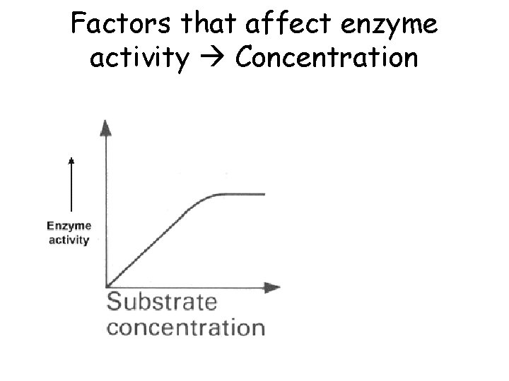 Factors that affect enzyme activity Concentration 