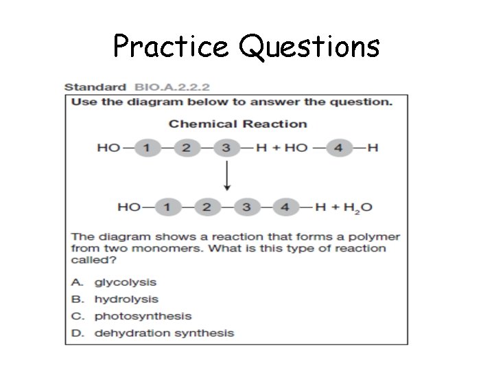 Practice Questions 