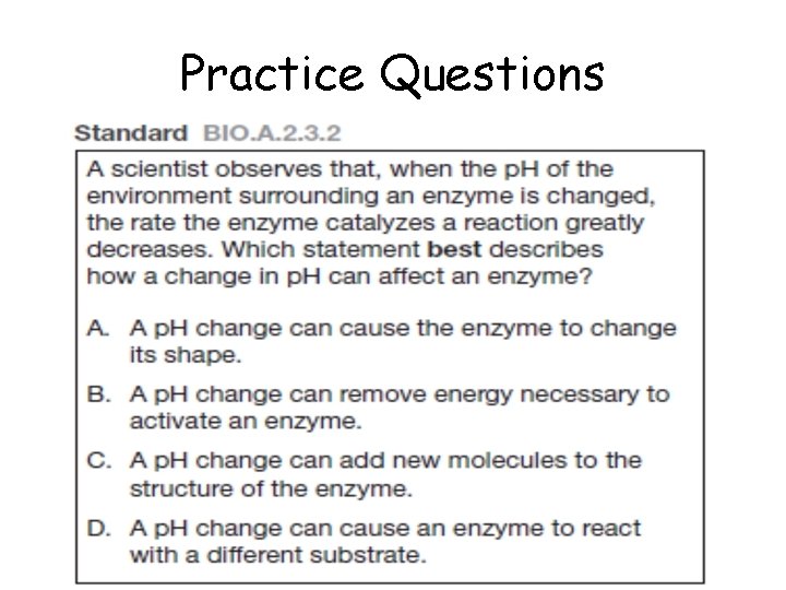 Practice Questions 