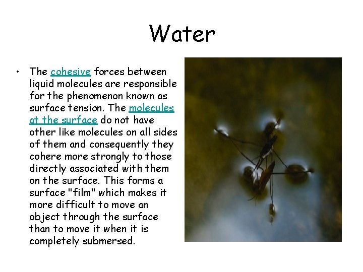 Water • The cohesive forces between liquid molecules are responsible for the phenomenon known