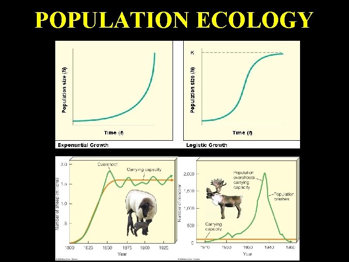 POPULATION ECOLOGY 