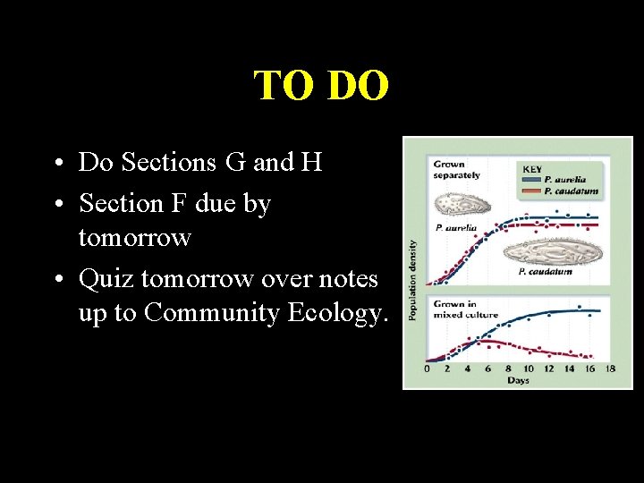 TO DO • Do Sections G and H • Section F due by tomorrow