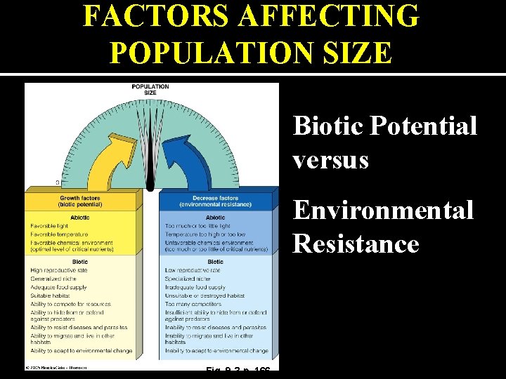 FACTORS AFFECTING POPULATION SIZE Biotic Potential versus Environmental Resistance Fig. 9 -3 p. 166