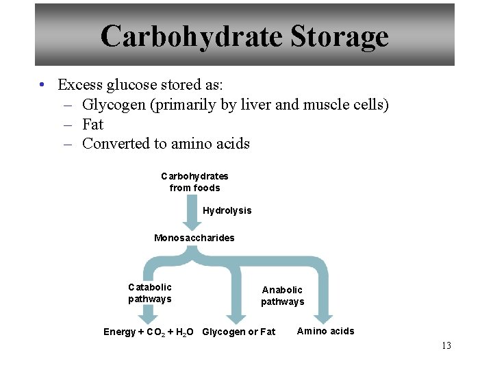 Carbohydrate Storage • Excess glucose stored as: – Glycogen (primarily by liver and muscle