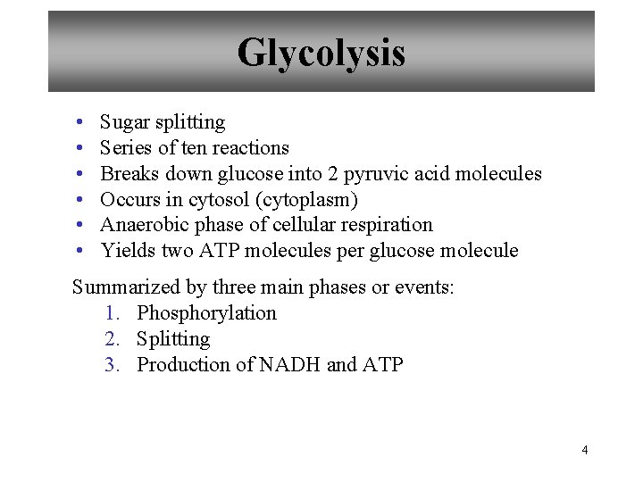Glycolysis • • • Sugar splitting Series of ten reactions Breaks down glucose into