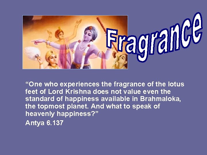 “One who experiences the fragrance of the lotus feet of Lord Krishna does not