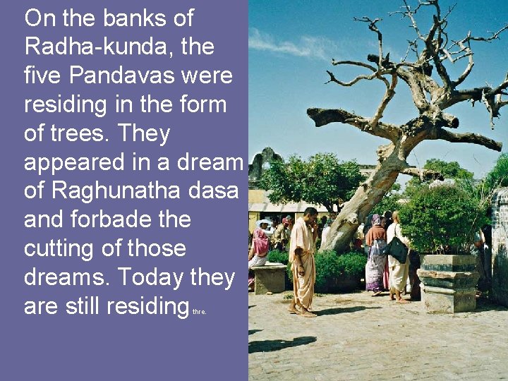 On the banks of Radha-kunda, the five Pandavas were residing in the form of