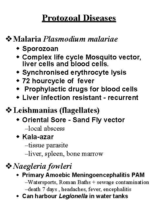 Protozoal Diseases v Malaria Plasmodium malariae w Sporozoan w Complex life cycle Mosquito vector,