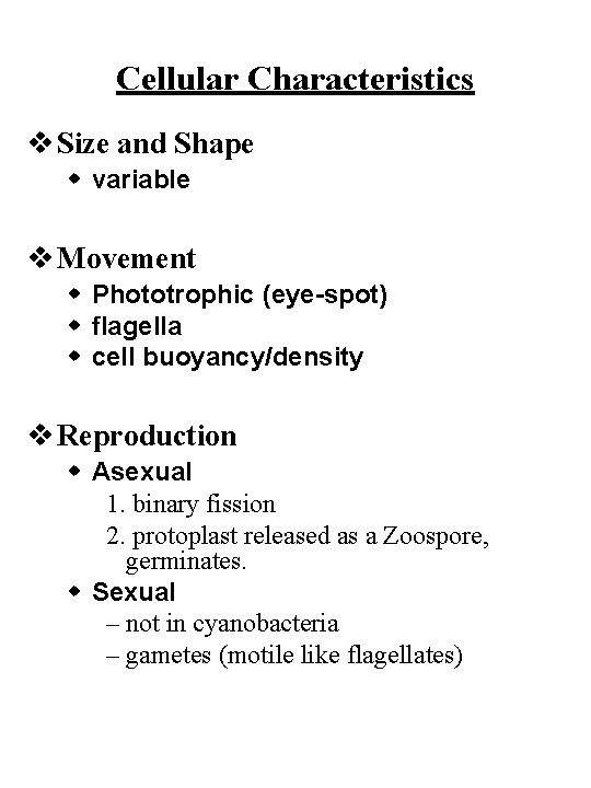 Cellular Characteristics v Size and Shape w variable v Movement w Phototrophic (eye-spot) w