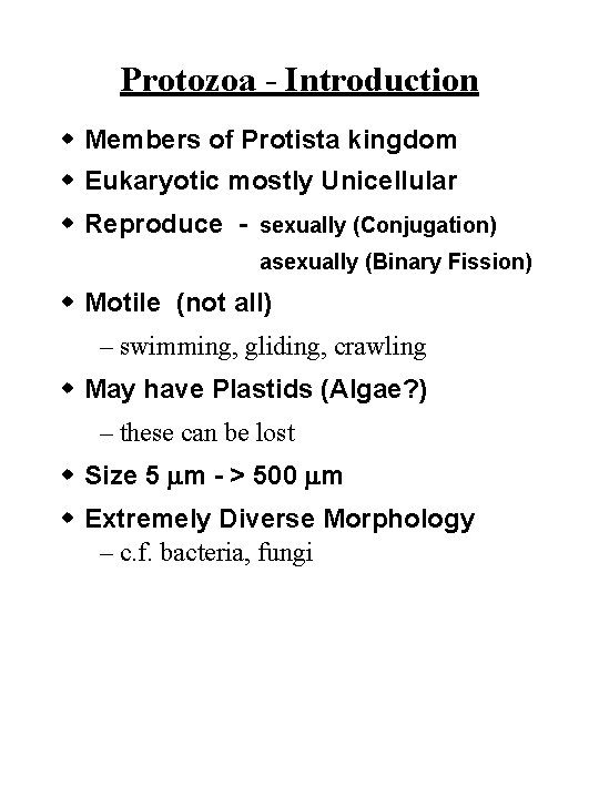 Protozoa - Introduction w Members of Protista kingdom w Eukaryotic mostly Unicellular w Reproduce